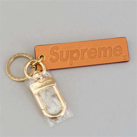 cheap louis vuitton keychain|Louis Vuitton keyholder.